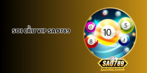 soi cau vip sao789 1